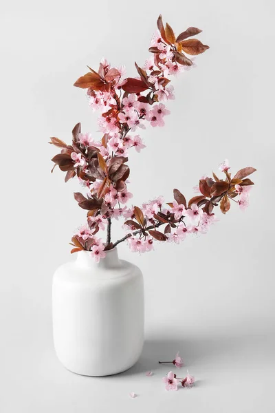 Vase Beautiful Blossoming Branches Grey Background — Stock Photo, Image