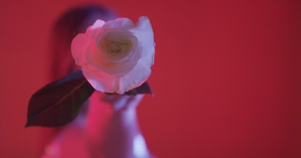 Verführerische Junge Frau Mit Weißer Rose Auf Farbigem Hintergrund — Stockvideo