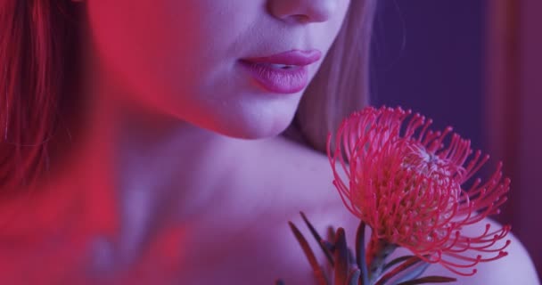 Beautiful young woman with protea flower, closeup — Stock Footage Beautiful Young Woman Protea Flower Closeup — Stock Video