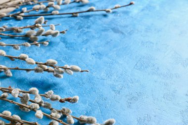 Renk arkaplanındaki söğüt dalları