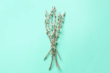 Renk arkaplanındaki söğüt dalları