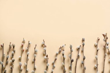 Renk arkaplanındaki söğüt dalları