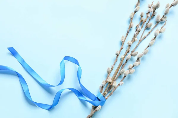 Willow Branches Ribbon Color Background — Foto de Stock