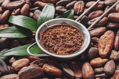 Kakao tozu ve fasulye, yakın plan.