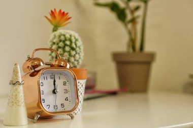 Odadaki masada çalar saat ve kaktüs.