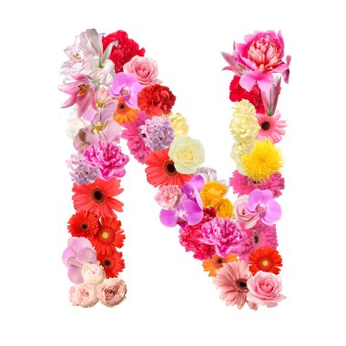 N harfi beyaz arkaplanda güzel çiçeklerden yapılmıştır.