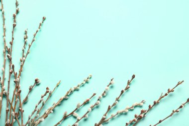 Renk arkaplanındaki söğüt dalları