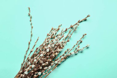 Renk arkaplanındaki söğüt dalları