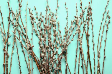 Renk arkaplanındaki söğüt dalları