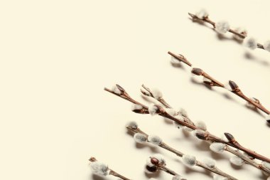 Işık arkaplanındaki söğüt dalları