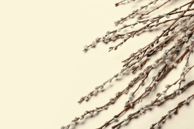 Işık arkaplanındaki söğüt dalları