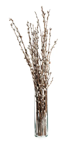 Vase Mit Weidenzweig Auf Weißem Hintergrund — Stockfoto