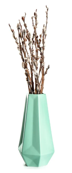 Vase Willow Branch White Background — Foto de Stock