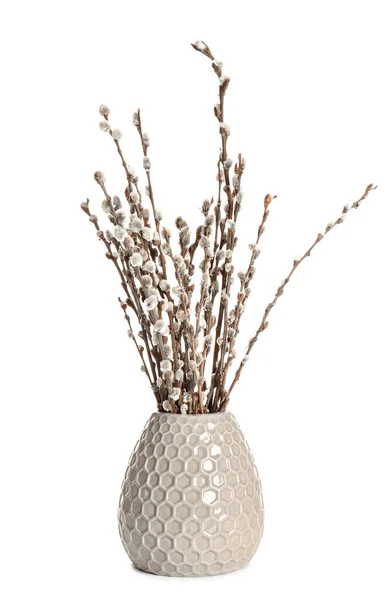 Vase Willow Branch White Background — Stock Photo, Image
