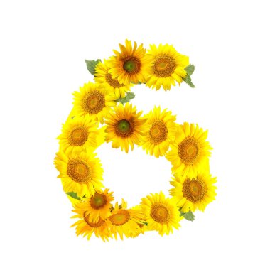 Beyaz arkaplanda güzel ayçiçeklerinden yapılmış figür 6