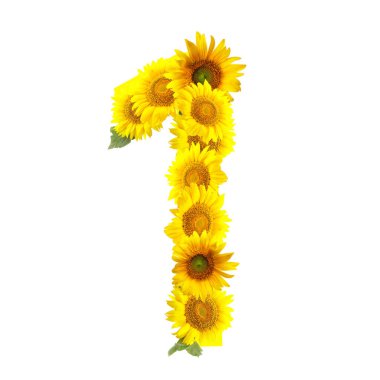 Şekil 1 beyaz arkaplanda güzel ayçiçeklerinden yapılmıştır