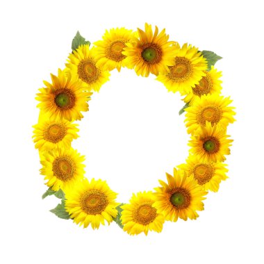 O harfi beyaz arkaplanda güzel ayçiçeklerinden yapılmıştır.