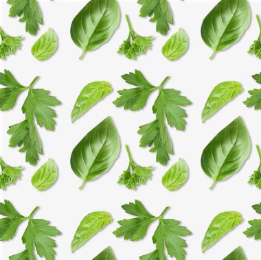 Beyaz arka planda taze bitkiler.