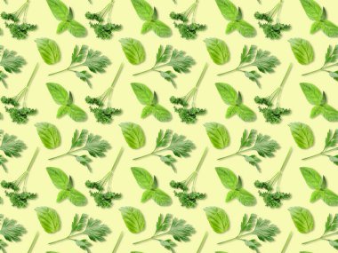 Renk arkaplanında taze bitkiler