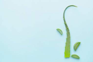 Renk arkaplanında taze kesilmiş aloe