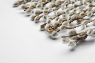 Gri arkaplanda söğüt dalları