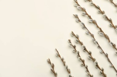 Işık arkaplanındaki söğüt dalları