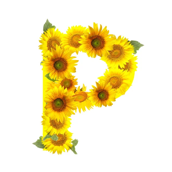 Letter Made Beautiful Sunflowers White Background — Stock Photo, Image