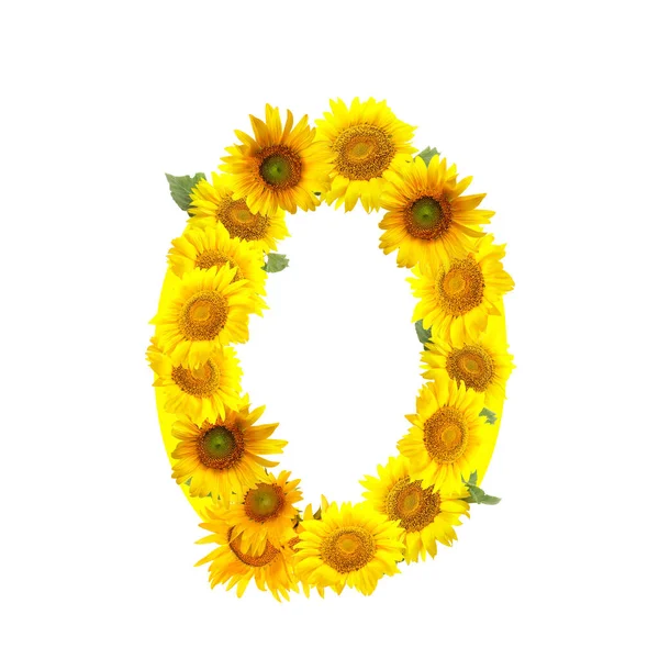 Figure Made Beautiful Sunflowers White Background — Foto de Stock