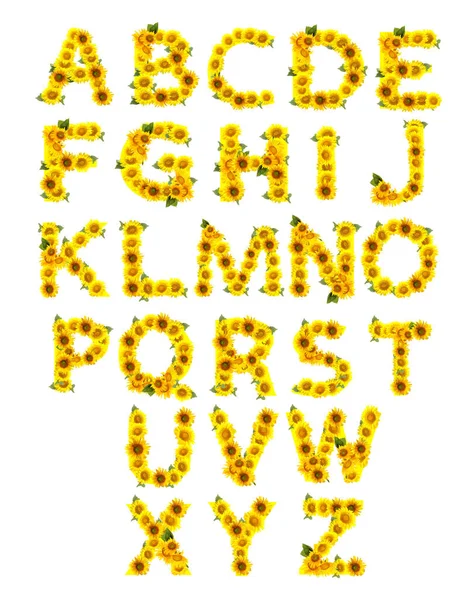 Angielski Alfabet Wykonany Pięknych Słoneczników Białym Tle — Zdjęcie stockowe