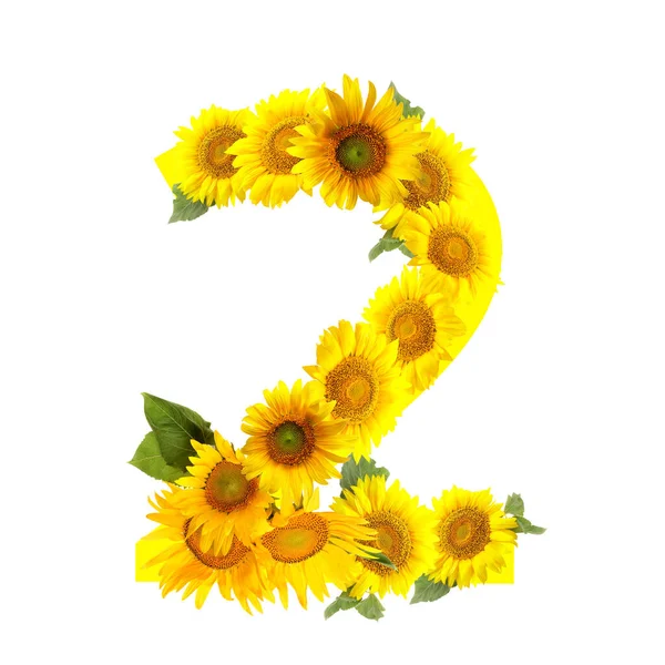 Figure Made Beautiful Sunflowers White Background —  Fotos de Stock