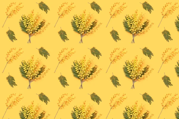 Piękne Kwitnące Gałęzie Mimozy Tle Koloru — Zdjęcie stockowe