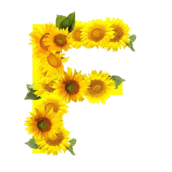 Letter Made Beautiful Sunflowers White Background — Foto de Stock