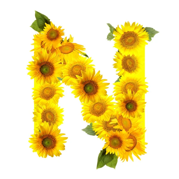 Letter Made Beautiful Sunflowers White Background — Stock Photo, Image