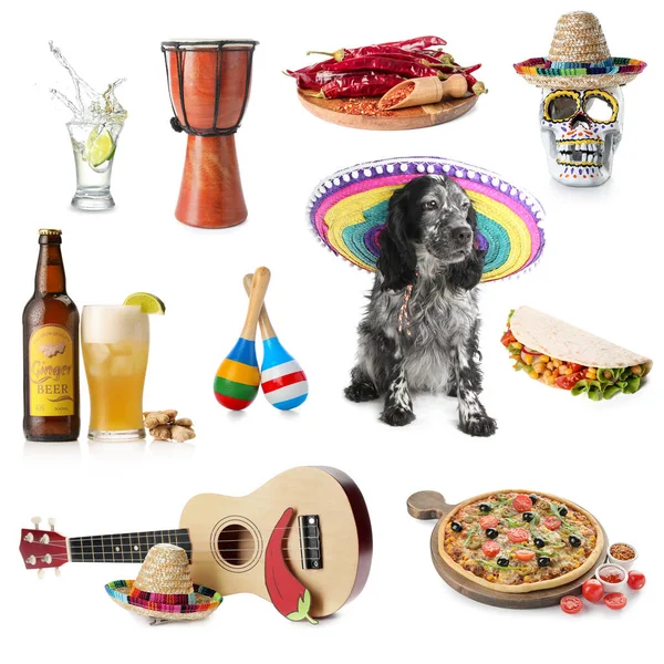 Söt Hund Med Symboler För Mexiko Vit Bakgrund — Stockfoto