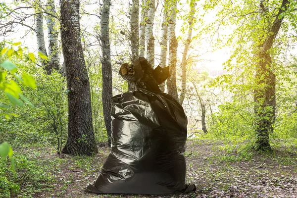 숲에서 쓰레기를 생태학적 — 스톡 사진
