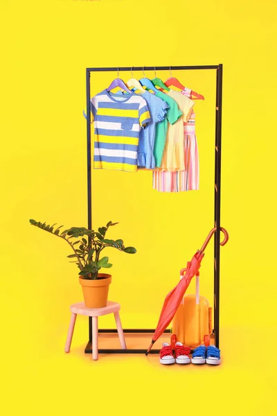 Rack Clothes Houseplant Color Background — Stock Photo, Image