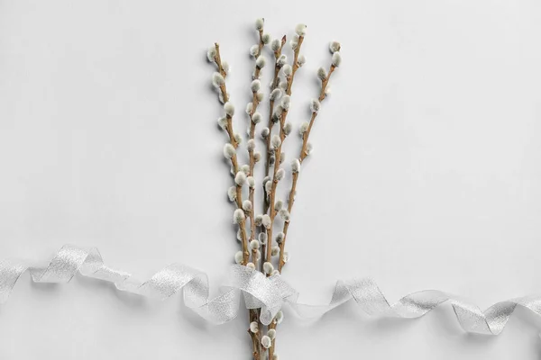 Willow Branches Light Background — Stock Photo, Image