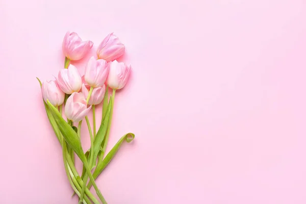 Beautiful Tulip Flowers Color Background — Stock Photo, Image