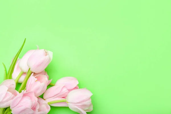 Renkli Arkaplanda Güzel Lale Çiçekleri — Stok fotoğraf