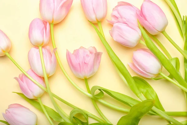 Bellissimi Fiori Tulipano Sfondo Colore — Foto Stock