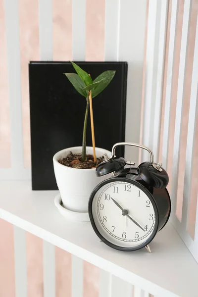 Réveil Avec Plante Intérieur Livre Sur Étagère — Photo