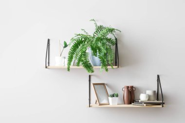 Dekorlu modern raflar ve ışık duvarında asılı bitkiler.