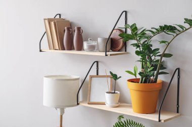 Işık duvarında ev bitkileri asılı modern kitap rafları
