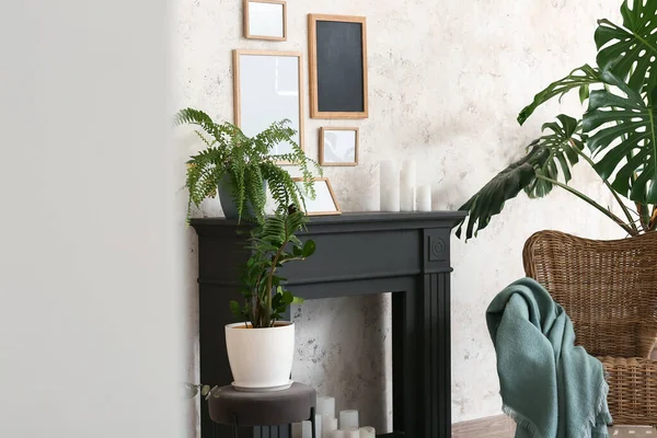 Stylish Interior Modern Living Room Fireplace Houseplants — Stock Photo, Image