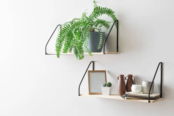 Modern Shelves Decor Houseplants Hanging Light Wall — Stock Photo, Image