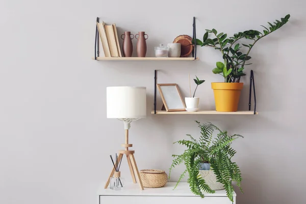 Modern book shelves with houseplants hanging on light wall
