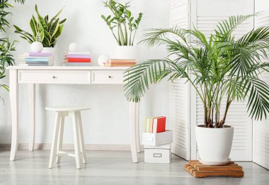 Kitaplar masada, çiçekler de aydınlık odada.