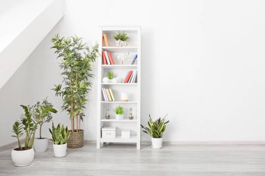 Kitapları ve çiçekleri olan raf ünitesi ışık odasının içinde.