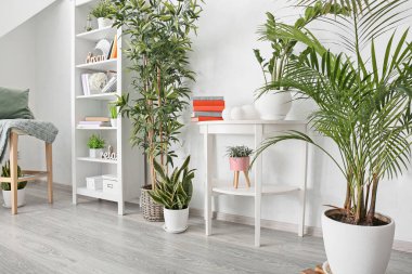 Kitapları ve çiçekleri olan raf ünitesi ışık odasının içinde.