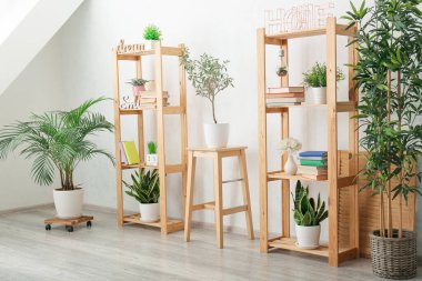 Kitaplı raflar ve ışık duvarı yakınında bitkiler.